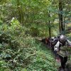 09 b Schluchensteig Etappe 4 - 6